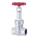 KITZ : Gate Valve : Ductile Iron : Model 10SMS