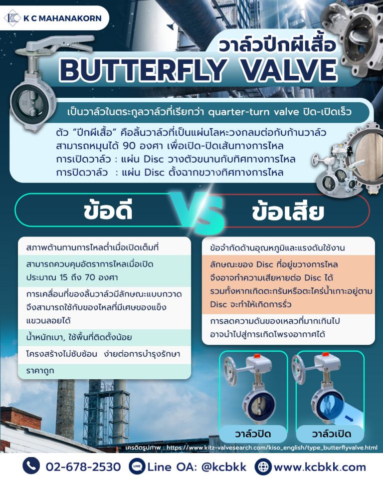 Butterfly-Valve
