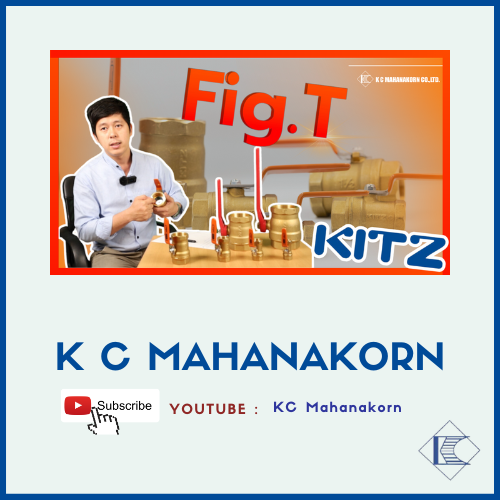 fig.T