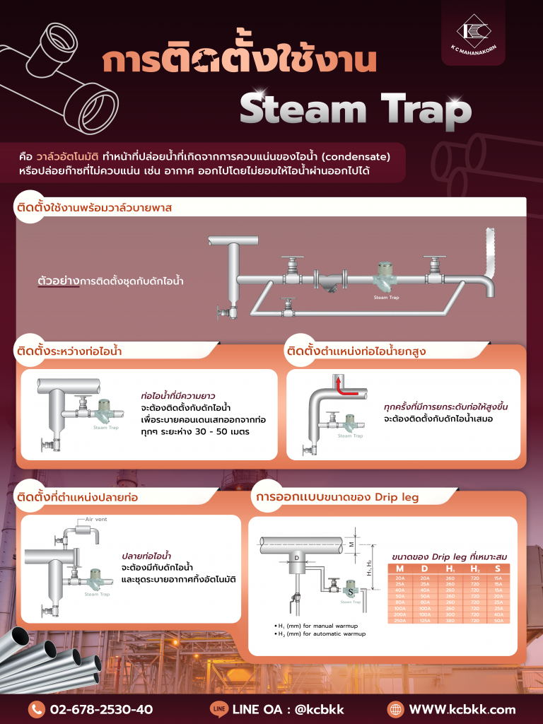 Steam Trap