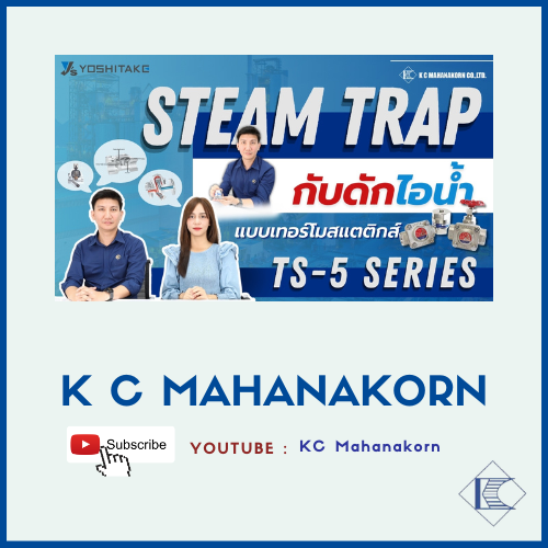 Steam trap TS-5 Series