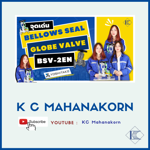 จุดเด่นBellows Seal Globe Valve BSV-2EN (1)