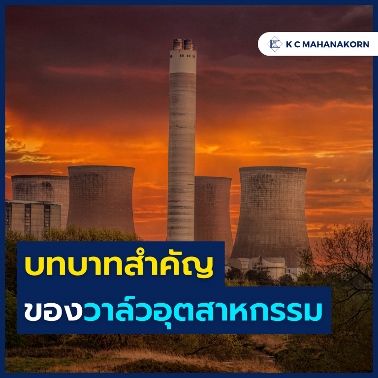 บทความ