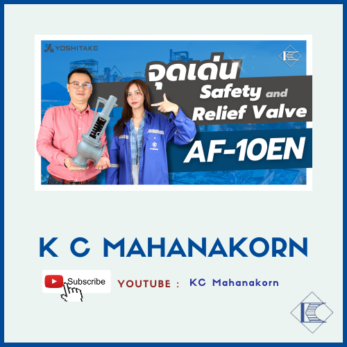 Safety and Relief Valve รุ่น AF10EN