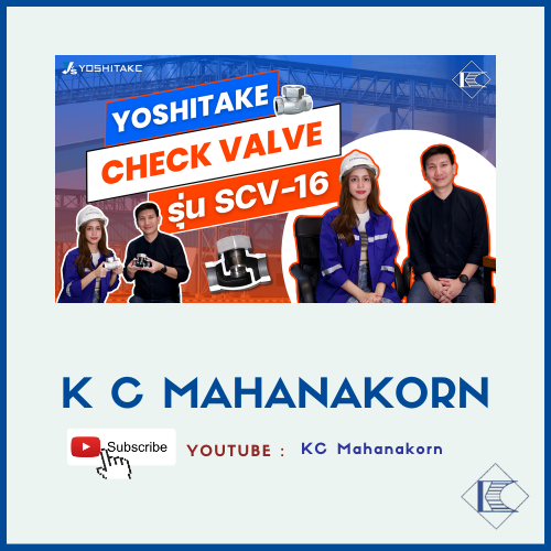ปก Check Valve รุ่น SCV-16