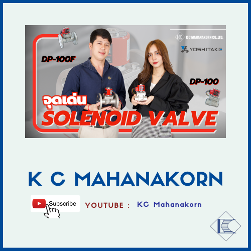 Solenoid valve DP-100F DP-100 (1)
