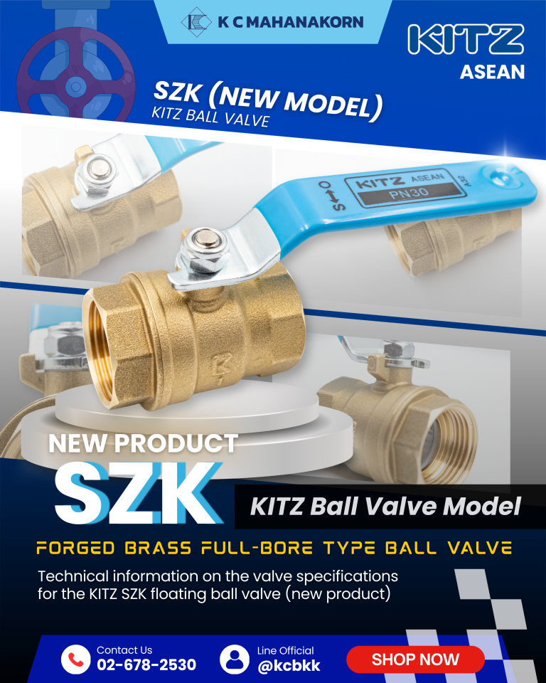 KITZ Ball Valve Model SZK